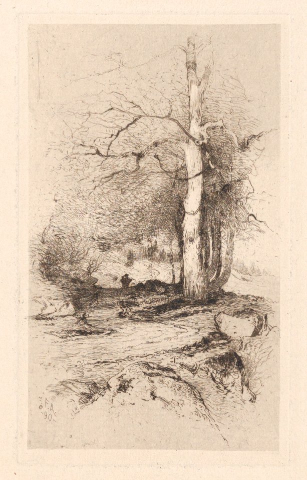 Landscape MET DP875371