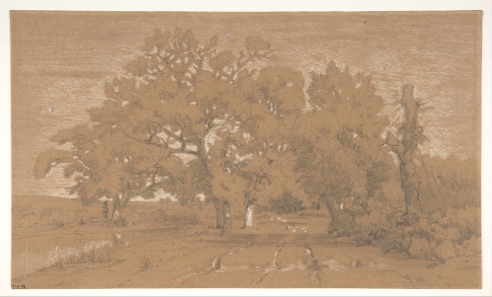 Landscape MET DP808109