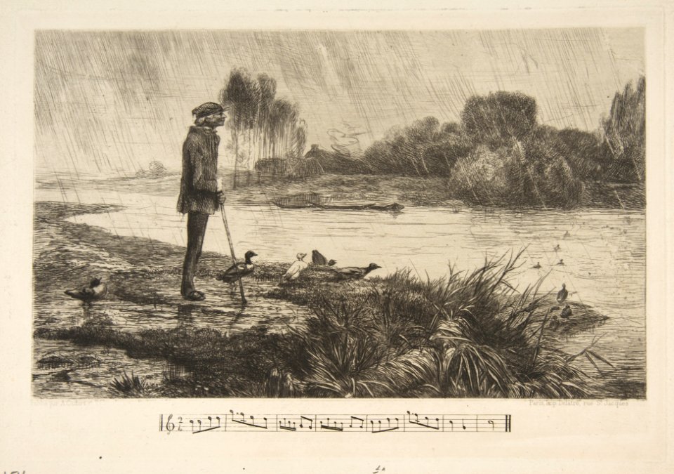Les Canards l'ont bien passé MET DP814027