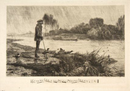 Les Canards l'ont bien passé MET DP814027