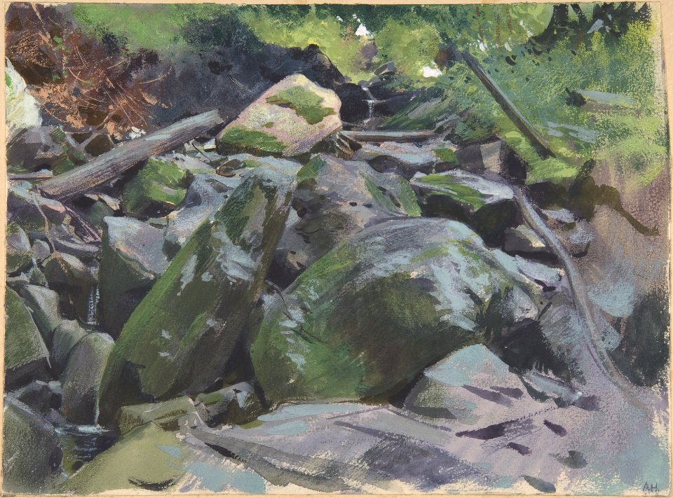 Landscape MET DP803811