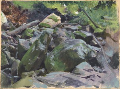 Landscape MET DP803811