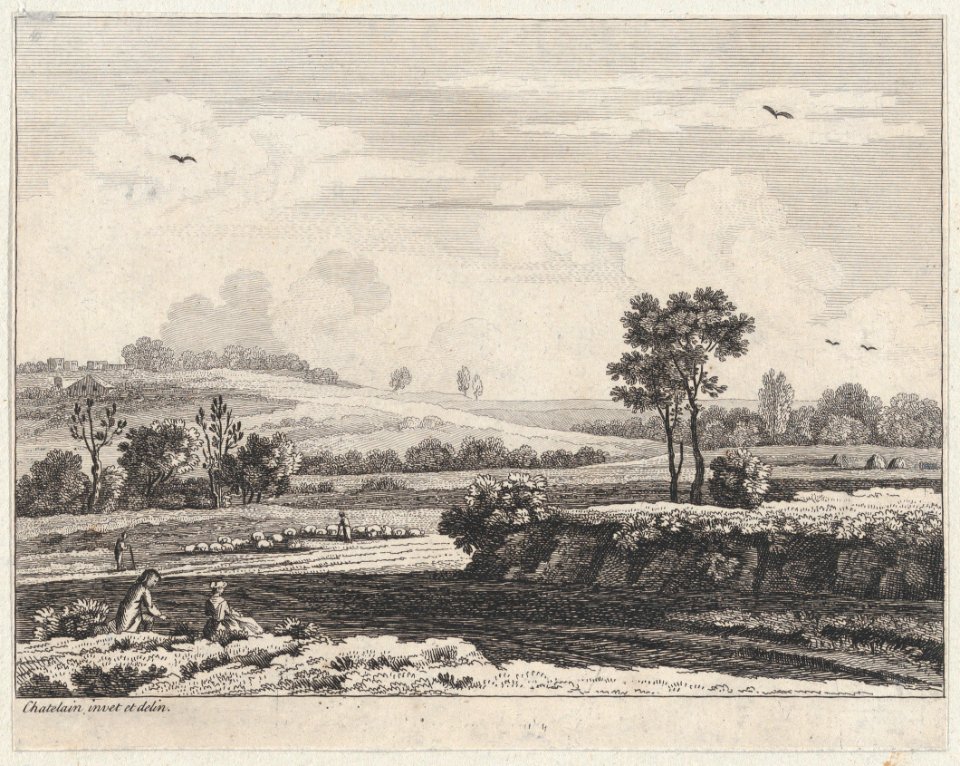 Landscape MET DP877028