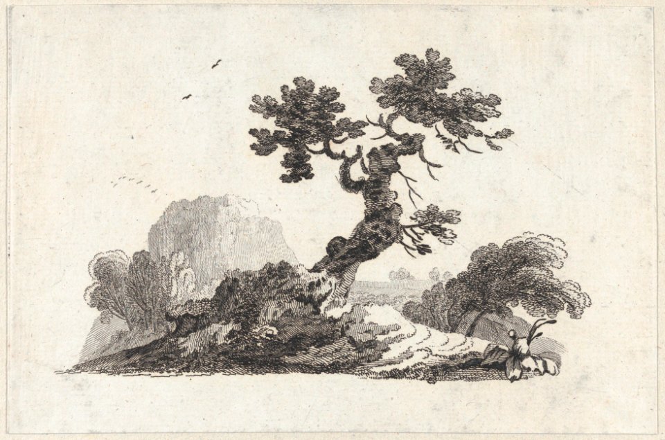 Landscape MET DP877022