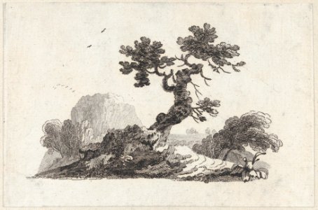 Landscape MET DP877022