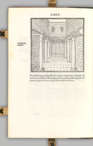 M. Vitruvius per Iocundum solito castigatior factus cum figuris et tabula ut iam legi et intelligi possit MET DP327388