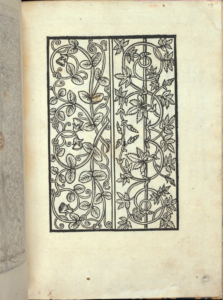 Libro quarto. De rechami per elquale se impara in diuersi modi lordine e il modo de recamare...Opera noua, page 17 (recto) MET DP353795