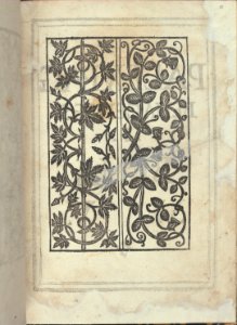 Libro quarto. De rechami per elquale se impara in diuersi modi lordine e il modo de recamare...Opera noua, page 18 (recto) MET DP353796