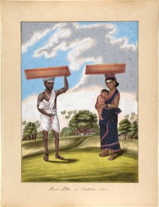 Mad-seller, in Malabar Cast, from Indian Trades and Castes MET DP807536