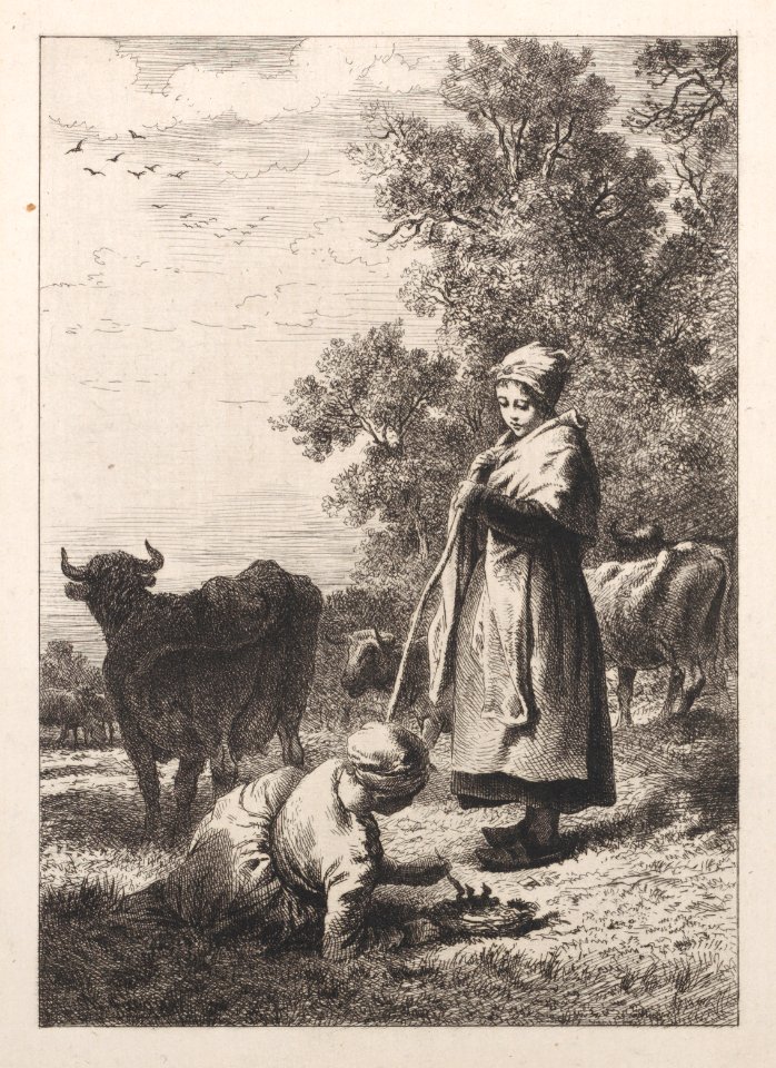 Little Milkmaids Met DP886995