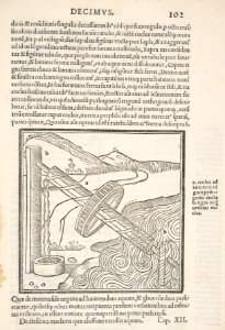 M. Vitruvius per Iocundum solito castigatior factus cum figuris et tabula ut iam legi et intelligi possit MET DP817224
