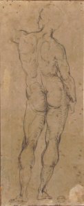 Male Figure Seen from Rear, After a Drawing by Michelangelo MET 87.12.69