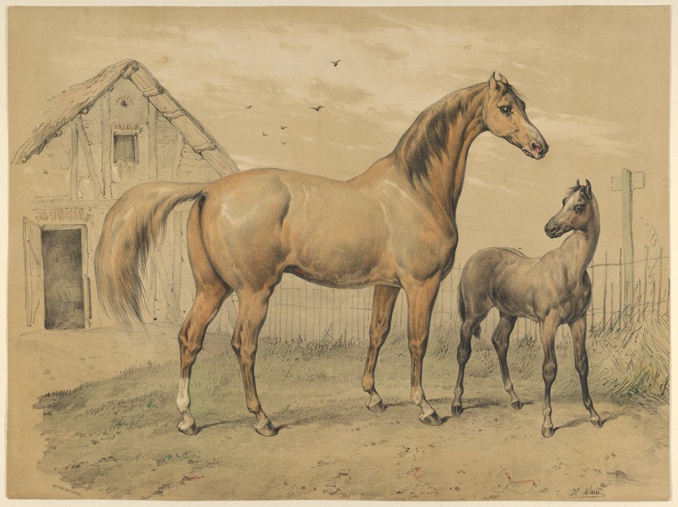 Mare and Foal MET DP841227