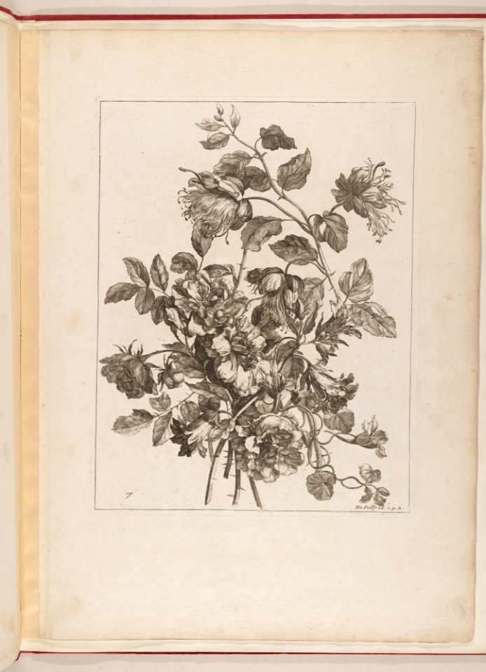 Livre de Toutes Sortes De Fleurs D'apres Nature MET DP210742