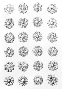 Livre de Desseins De Jouaillerie Et Bijouterie MET MM405