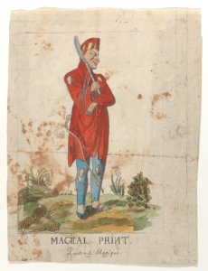 Magical Print- the devil with a hidden silhouette of Napoleon Met DP886271