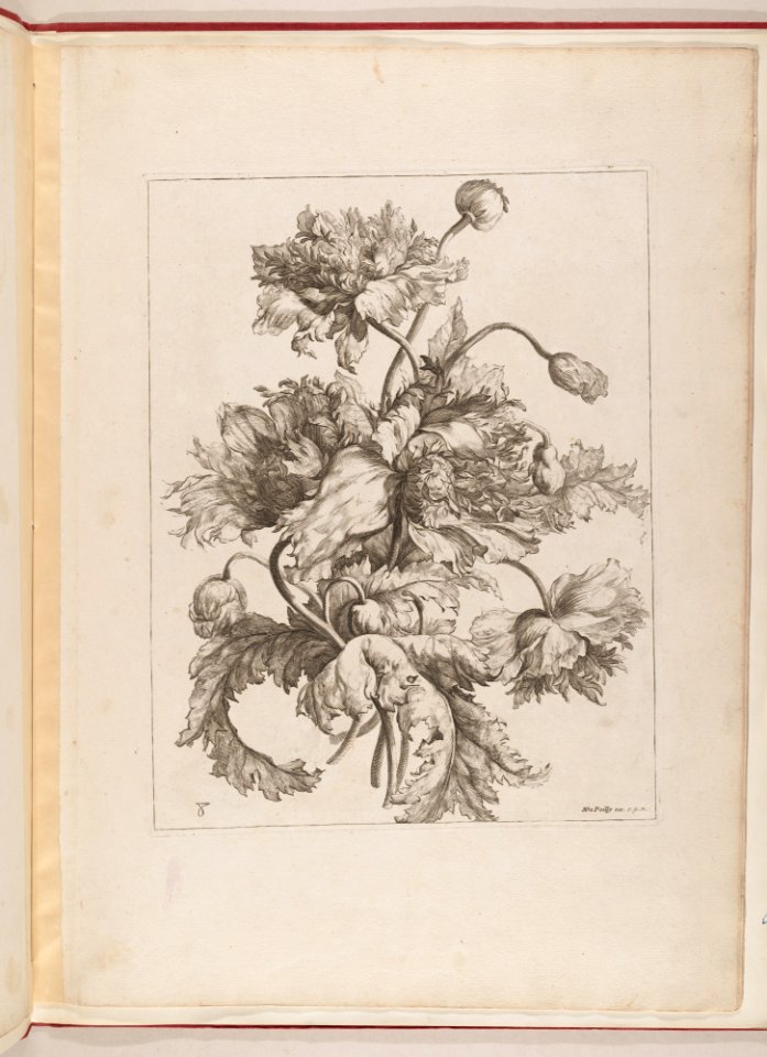 Livre de Toutes Sortes De Fleurs D'apres Nature MET DP210743