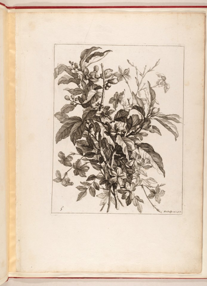 Livre de Toutes Sortes De Fleurs D'apres Nature MET DP210740