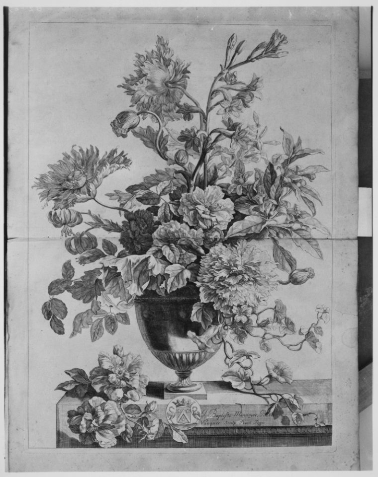 Livre de Toutes Sortes De Fleurs D'apres Nature MET MM8155