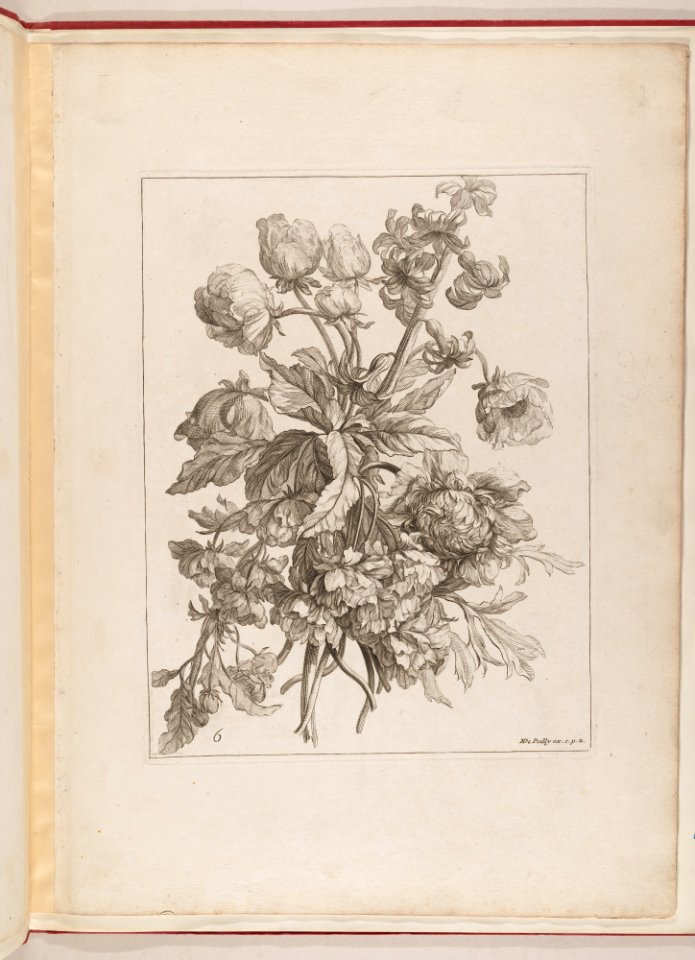Livre de Toutes Sortes De Fleurs D'apres Nature MET DP210741
