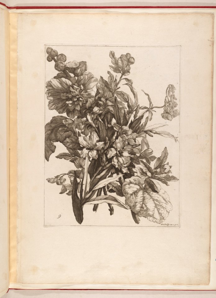 Livre de Toutes Sortes De Fleurs D'apres Nature MET DP210744