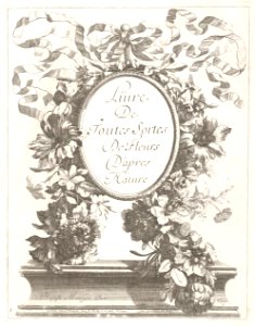 Livre de Toutes Sortes De Fleurs D'apres Nature MET DP210736