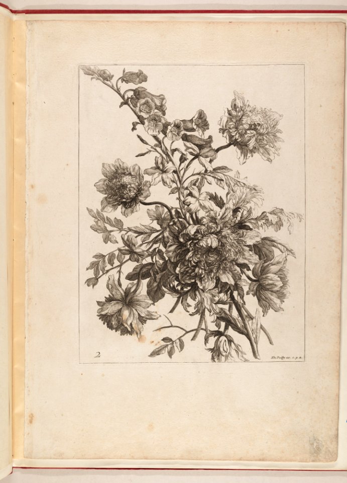 Livre de Toutes Sortes De Fleurs D'apres Nature MET DP210737