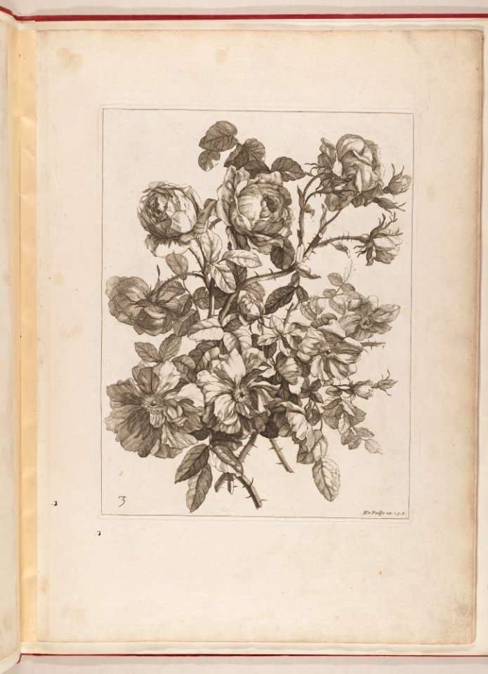Livre de Toutes Sortes De Fleurs D'apres Nature MET DP210738