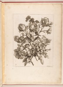 Livre de Toutes Sortes De Fleurs D'apres Nature MET DP210738