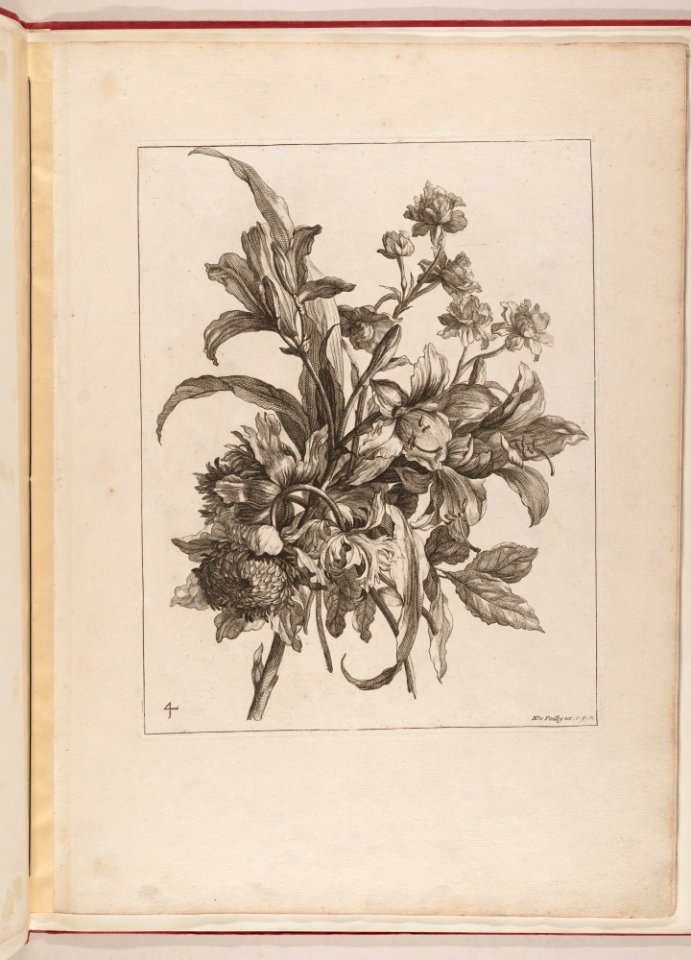 Livre de Toutes Sortes De Fleurs D'apres Nature MET DP210739