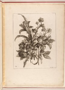 Livre de Toutes Sortes De Fleurs D'apres Nature MET DP210739