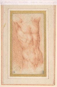 Male Nude Torso with Raised Arms MET DP810964
