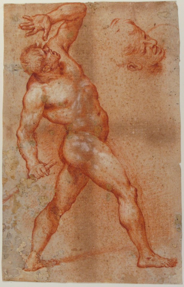 Male Nude with Left Arm Upraised, and a Further Study of His Head MET 17.236.19