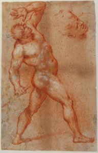 Male Nude with Left Arm Upraised, and a Further Study of His Head MET 17.236.19