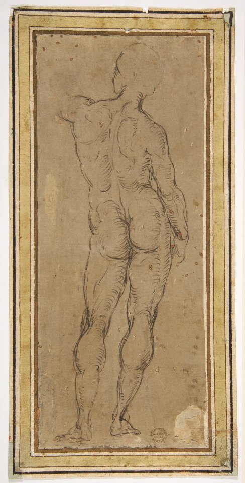Male Figure Seen from Rear, After a Drawing by Michelangelo MET DP811342