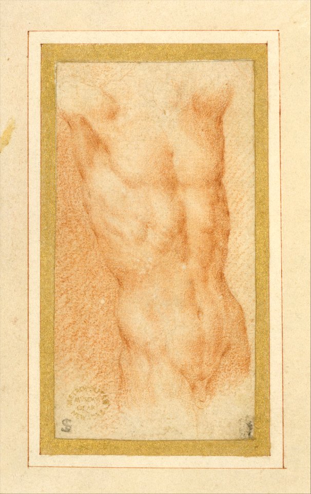 Male Nude Torso with Raised Arms MET DT240287