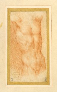 Male Nude Torso with Raised Arms MET DT240287