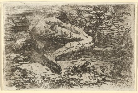 Male nude lying on his side with his right arm behind his back MET DP836198