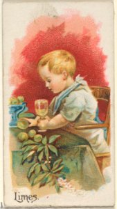 Limes, from the Fruits series (N12) for Allen & Ginter Cigarettes Brands MET DP834626