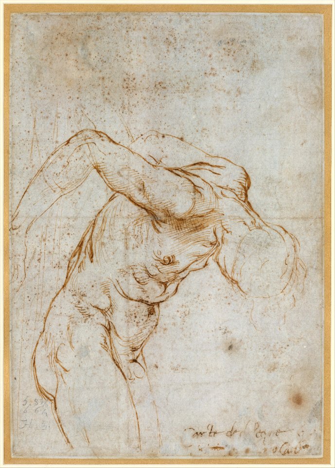 Madonna and Child with the Infant Saint John the Baptist; upper left, Study for the Right Arm of the Infant Saint John; upper right, Study for Drapery (recto); Study of a Nude Male Figure (verso) MET DT5268