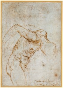 Madonna and Child with the Infant Saint John the Baptist; upper left, Study for the Right Arm of the Infant Saint John; upper right, Study for Drapery (recto); Study of a Nude Male Figure (verso) MET DT5268
