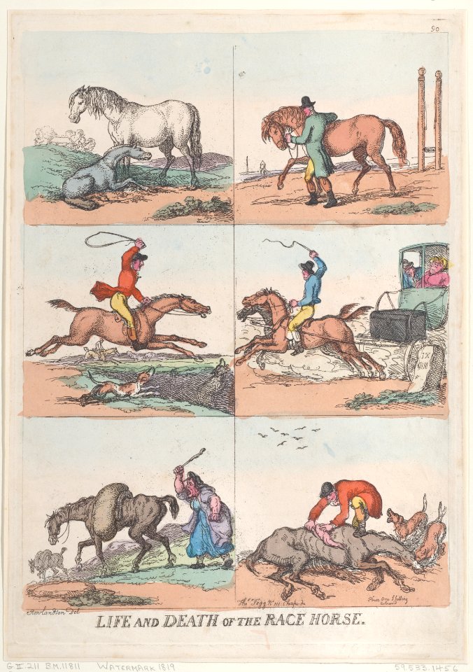Life and Death of the Race Horse Met DP884780