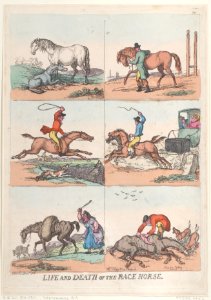 Life and Death of the Race Horse Met DP884780
