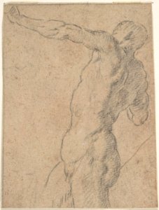 Life Study of Standing Male Nude in Three-Quarter Length MET DP800403