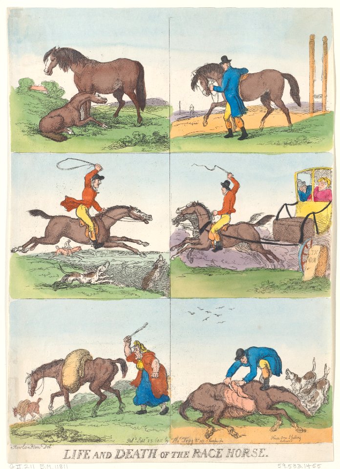 Life and Death of the Race Horse Met DP884779