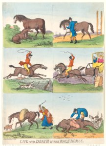 Life and Death of the Race Horse Met DP884779