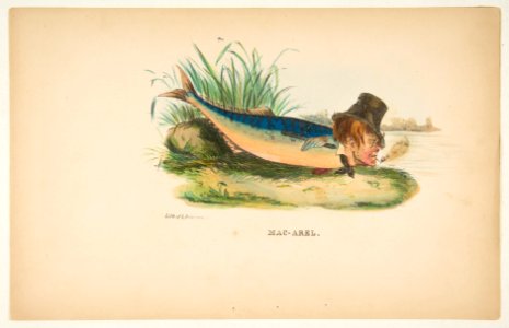Mac-Arel, from The Comic Natural History of the Human Race MET DP813090