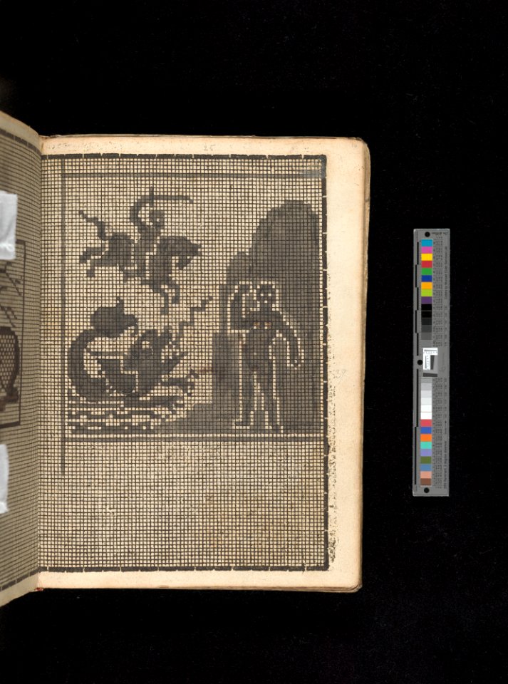 Manuscript album of designs for lace and embroidery MET DP356656