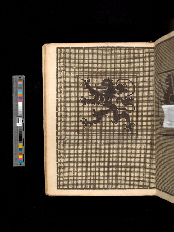 Manuscript album of designs for lace and embroidery MET DP356654