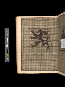 Manuscript album of designs for lace and embroidery MET DP356654